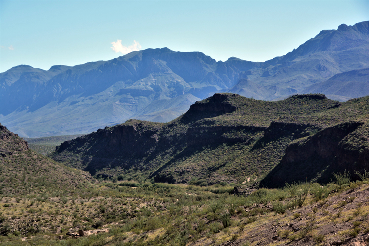 terrain